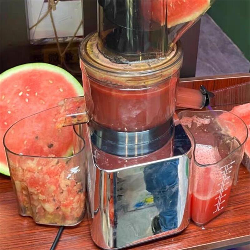 500W Commercial Use Home Use S - Juicer Cold Press Slow ulasan dan harga